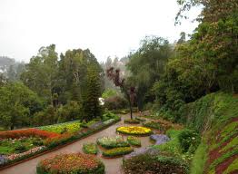 botanical-garden-ooty