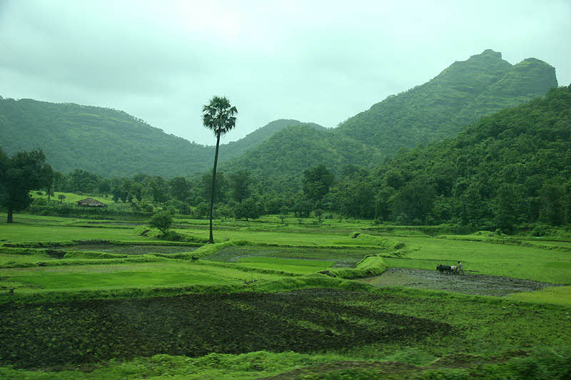 Dadra and Nagar Haveli