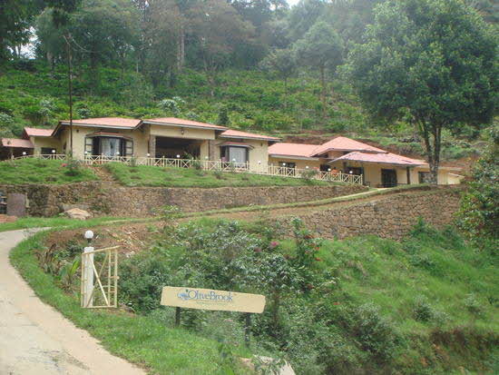 pothanmedu-munnar
