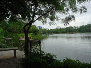 Lotus Pond, Hyderabad