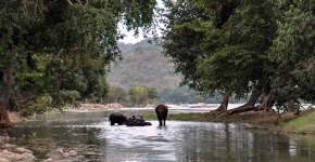 Galibore Fishing Camp, Bheemeshwari