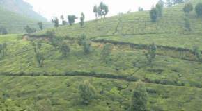 Lady Canning Seat, Coonoor