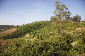 Hidden Valley, Coonoor