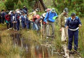 attractions-Trekking-Kodaikanal