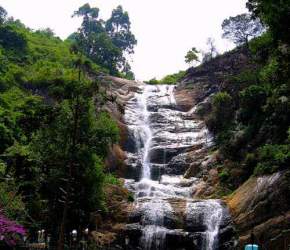 silver-cascade-falls, kodaikanal