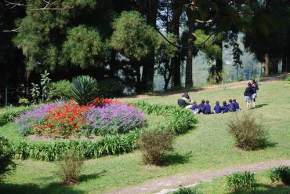 Lloyds Botanical Garden, Darjeeling