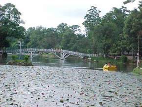 Wards Lake, Shillong