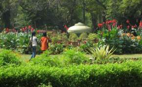 bharathi-park, puducherry