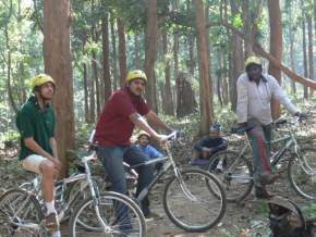 Mountain biking Dandeli, Dandeli