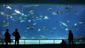 attractions-Marine-Museum-Lakshadweep