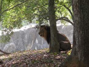 Zoological Garden, Trivandrum
