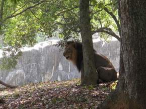 zoological-garden-trivandrum