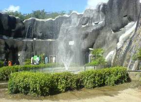 attractions-Anna-Zoological-Park-Chennai