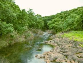 Sanjay Gandhi National Park, Mumbai