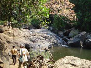 Bhagwan Mahavir Wildlife Sanctuary, Goa