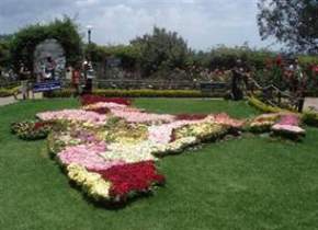 rose-garden-saputara