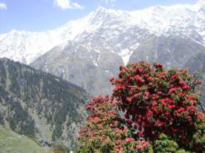 Triund Dharamsala, Dharamsala