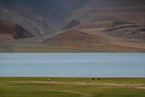 tsomoriri-lake-leh