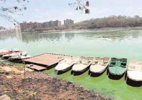 Pashan Lake, Pune