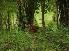 Bannerghatta National Park, Bangalore