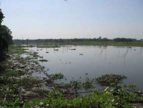 deepor-beel, guwahati