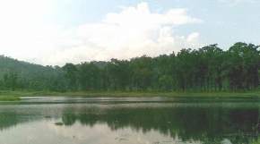 Chandubi Lake, Guwahati