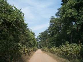 Barnawapara Sanctuary, Raipur