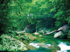 Daintree Rainforest, Australia