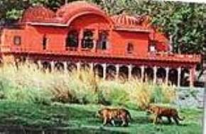 attractions--Ranthambore