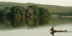 padam-talao-ranthambore