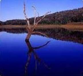 Periyar Lake, Thekkady