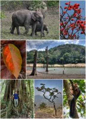 Periyar Wildlife Sactuary, Thekkady