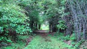 Dumna Nature Reserve, Jabalpur