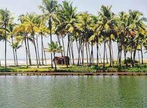 attractions--Alleppey