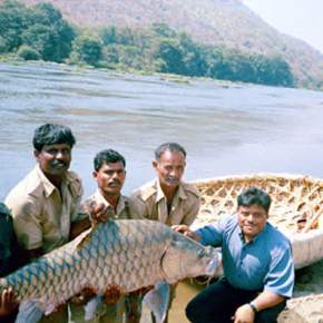 Cauvery Fishing Camp, Bheemeshwari