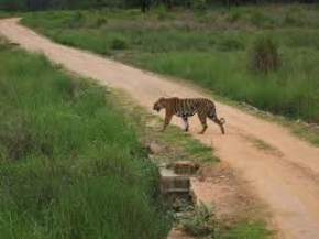 Achanakmar Wildlife Sanctuary, Bilaspur