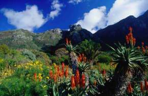 garden-route, south-africa