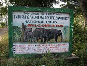 indira-gandhi-national-park, coimbatore