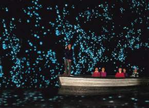 attractions-Glow-Warm-Caves-New-Zealand