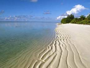 ari-atoll-maldives