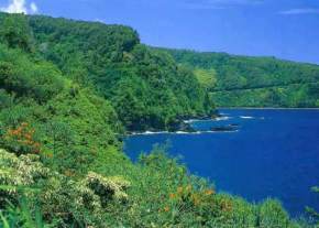 hamakua-coast-hawaii