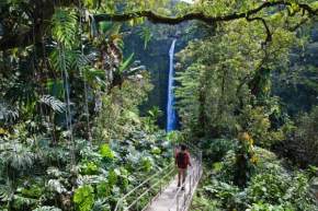 akaka-falls-state-park, hawaii