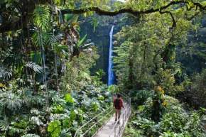 Akaka Falls State Park, Hawaii