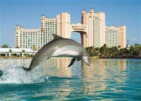 dolphin-cay-and-marine-habitats, bahamas