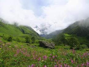 pinnath, kausani