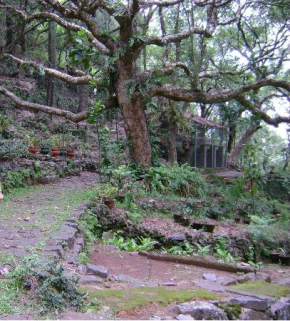 Botanical Garden, Yercaud