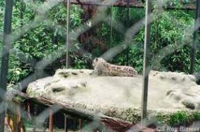 himalayan-zoological-park, nathula