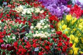 attractions-Nehru-Rose-Garden-Ludhiana