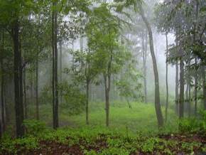 sherbaug, panchgani