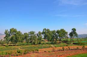 attractions-Mapro-Farms-Panchgani